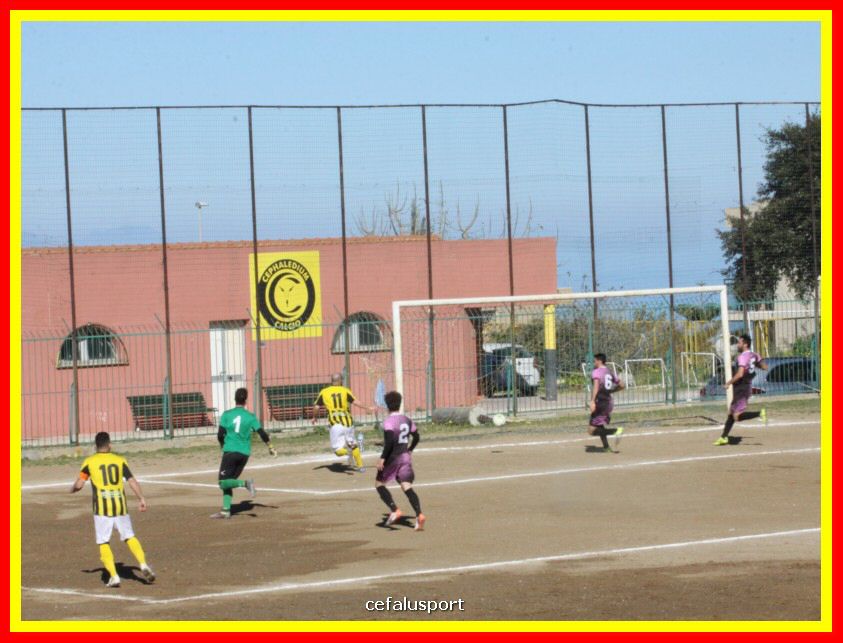 190310 Cephal_Torrenov 045_tn.jpg